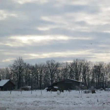 Haflingerhof Heed *