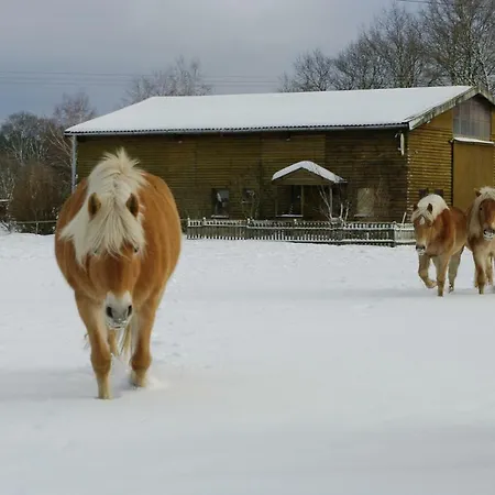 Lägenhet Haflingerhof Heed Kuhstorf