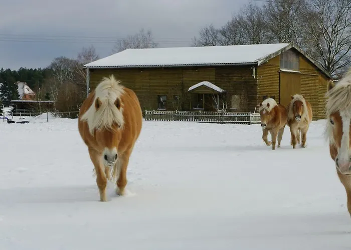Appartement Haflingerhof Heed Kuhstorf